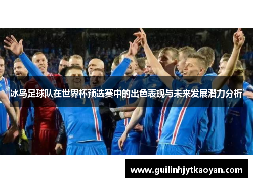 冰岛足球队在世界杯预选赛中的出色表现与未来发展潜力分析